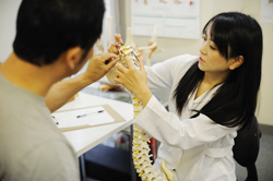 カイロプラクティック赤坂外来センター：説明